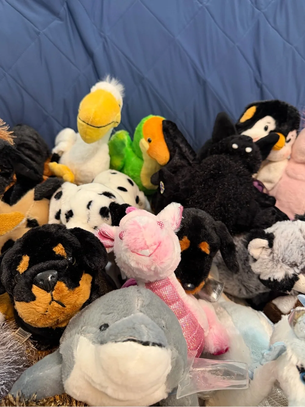 GANZ webkinz plush